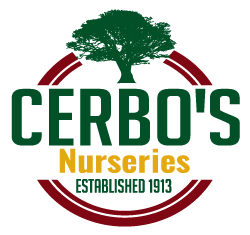 Cerbo's Nurseries